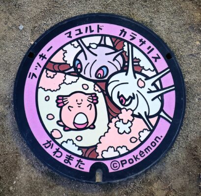 フラダンス】~ポケふたを求めて~港にある道の駅でラッキーと